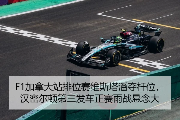 jia-na-da-zhan-pai-wei-sai-wei-si-ta-pan-duo-gan-wei-han-mi-er-dun-di-san-fa-che-zheng-sai-yu-zhan-xuan-nian-da-2-457.jpg